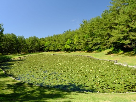 みそぎ池