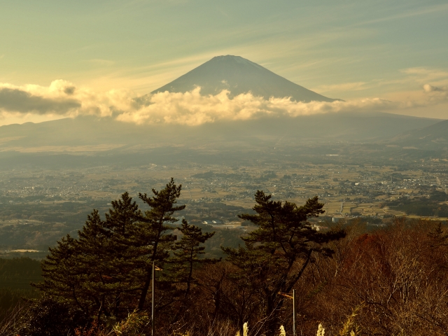 足柄峠